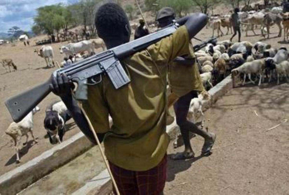 Herdsmen taking our people hostage, demanding money, food items — Delta community